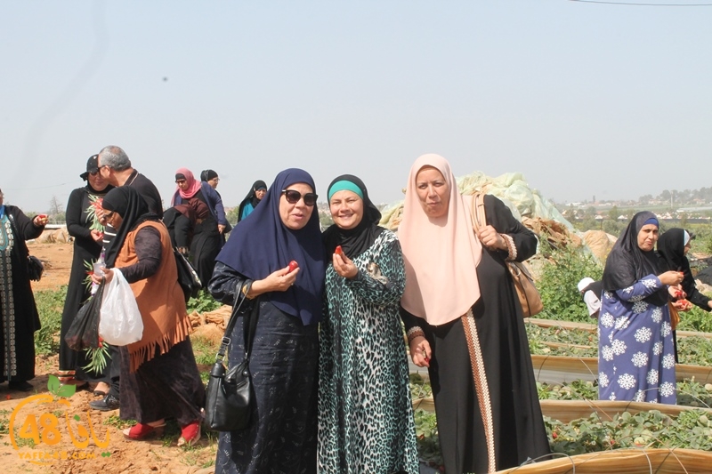 a7bab aqsa farawla (1).JPG